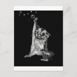 Sugar Glider Bubbles Postkarte