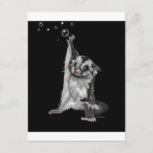 Sugar Glider Bubbles Postkarte (Vorderseite)