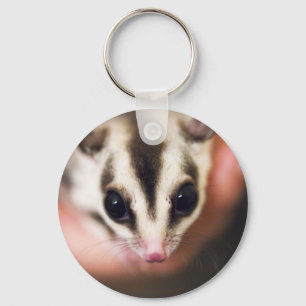 Sugar Glider keychain Schlüsselanhänger