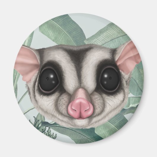 Sugar Glider Magnet (Vorne)