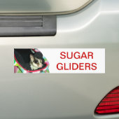Sugar Glider mit einem Hut Autoaufkleber (Auf Auto)