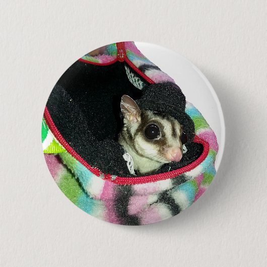 Sugar Glider mit einem Hut Button (Vorderseite)