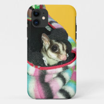 Sugar Glider mit einem Hut