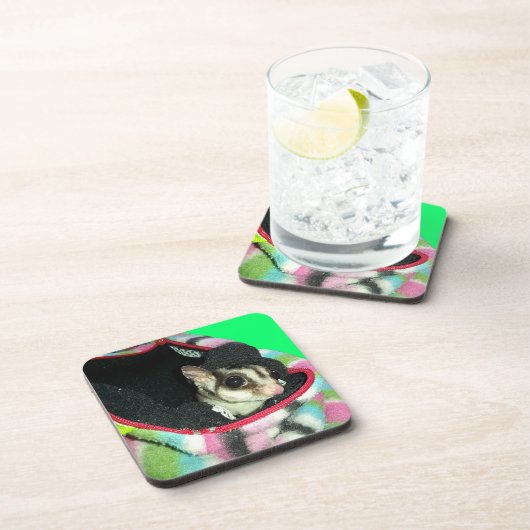 Sugar Glider mit einem Hut Getränkeuntersetzer (Rechte Seite)