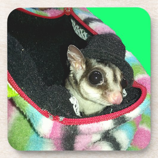 Sugar Glider mit einem Hut Getränkeuntersetzer (Vorderseite)