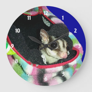 Sugar Glider mit einem Hut Große Wanduhr