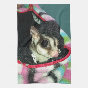 Sugar Glider mit einem Hut Küchentuch