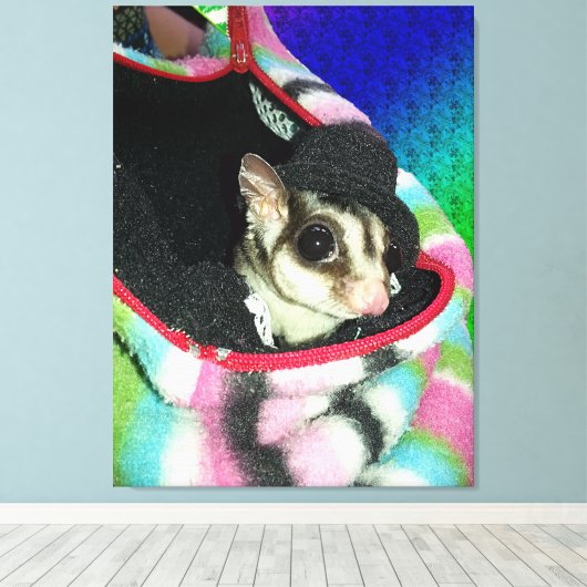 Sugar Glider mit einem Hut Leinwanddruck (Insitu (Holzboden))