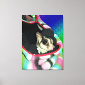 Sugar Glider mit einem Hut Leinwanddruck (Vorderseite)