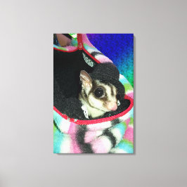 Sugar Glider mit einem Hut Leinwanddruck