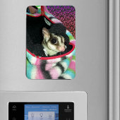 Sugar Glider mit einem Hut Magnet