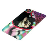 Sugar Glider mit einem Hut Magnet (Linke Seite)