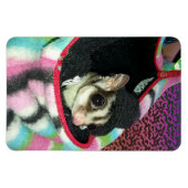 Sugar Glider mit einem Hut Magnet (Horizontal)