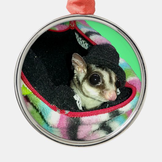 Sugar Glider mit einem Hut Ornament Aus Metall (Vorne)