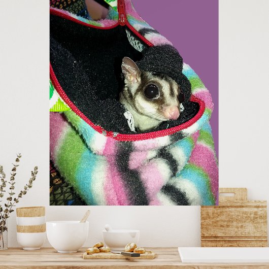 Sugar Glider mit einem Hut Poster (Küche)