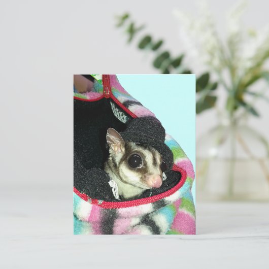 Sugar Glider mit einem Hut Postkarte (Stehend Vorderseite)