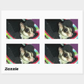 Sugar Glider mit einem Hut Rechteckiger Aufkleber (Blatt)