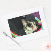 Sugar Glider mit einem Hut Rechteckiger Aufkleber (Umschlag)