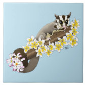 Sugar Glider Niedlich Floral Fliese (Vorderseite)