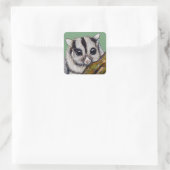 Sugar Glider Painting Quadratischer Aufkleber (Tasche)