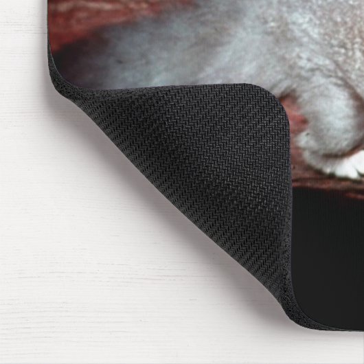 Sugar Glider - Petaurus breviceps Mousepad (Ecke)