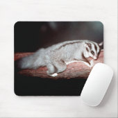 Sugar Glider - Petaurus breviceps Mousepad (Mit Mouse)