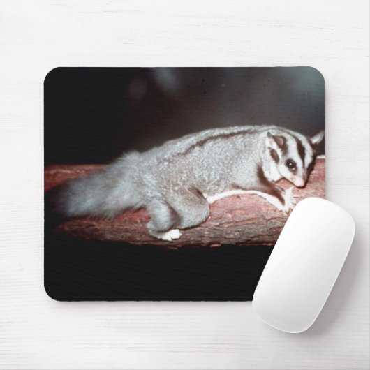 Sugar Glider - Petaurus breviceps Mousepad (Mit Mouse)