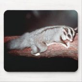 Sugar Glider - Petaurus breviceps Mousepad (Vorne)