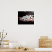 Sugar Glider - Petaurus breviceps Poster (Küche)