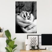 Sugar Glider Poster (Heimbüro)