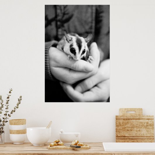 Sugar Glider Poster (Küche)