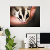 Sugar Glider Poster (Heimbüro)