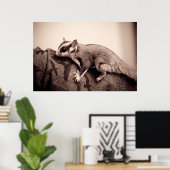 Sugar Glider Poster (Heimbüro)