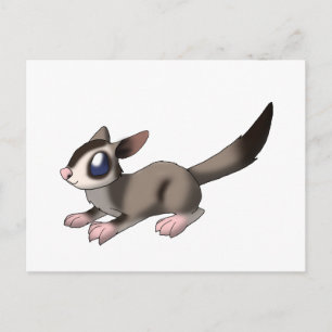 Sugar Glider Postkarte