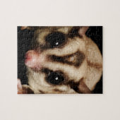 Sugar Glider Puzzle (Horizontal)