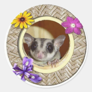Sugar Glider Runder Aufkleber