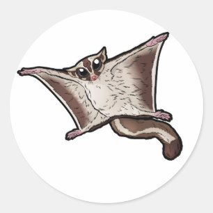 Sugar Glider Runder Aufkleber