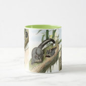 Sugar glider tasse (Zentrum)