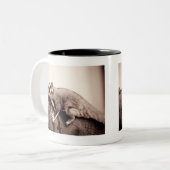Sugar Glider Tasse (Vorderseite Links)
