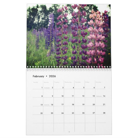 Sugar Hill Lupines Calendar Kalender (Feb 2026)