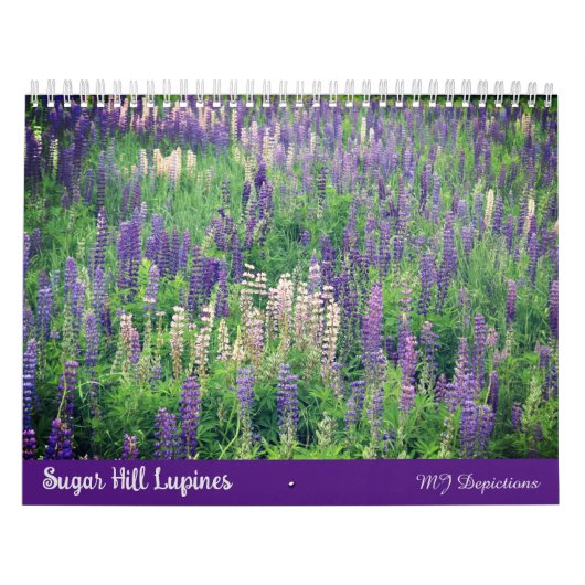 Sugar Hill Lupines Calendar Kalender (Titelbild)