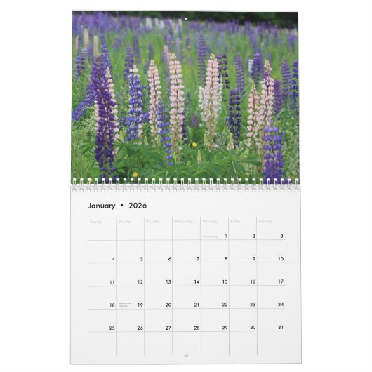 Sugar Hill Lupines Calendar Kalender (Jan 2026)