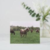 Sugar, Sky, Lady & Harley Postcard Postkarte (Stehend Vorderseite)