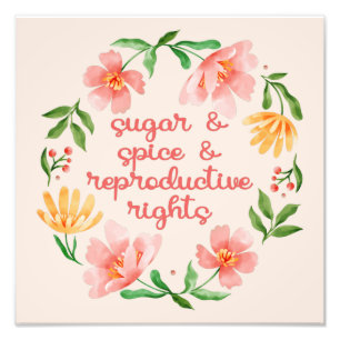 Sugar & Spice & Reproduktive Rechte III Fotodruck