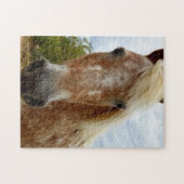 Sugar The Appaloosa Pferd, Jigsaw Puzzle (Horizontal)