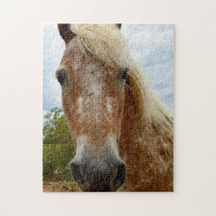 Sugar The Appaloosa Pferd, Jigsaw Puzzle