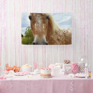 "Sugars Schritt: Die Anmut des Appaloosa" Banner