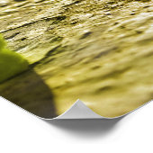 Suicide Jelly Baby Poster (Ecke)
