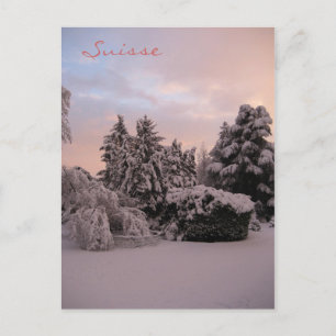 Suisse Postkarte