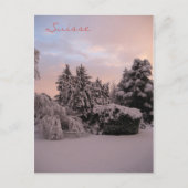 Suisse Postkarte (Vorderseite)